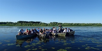 Restaurerer unikt våtmarksområde i Donau